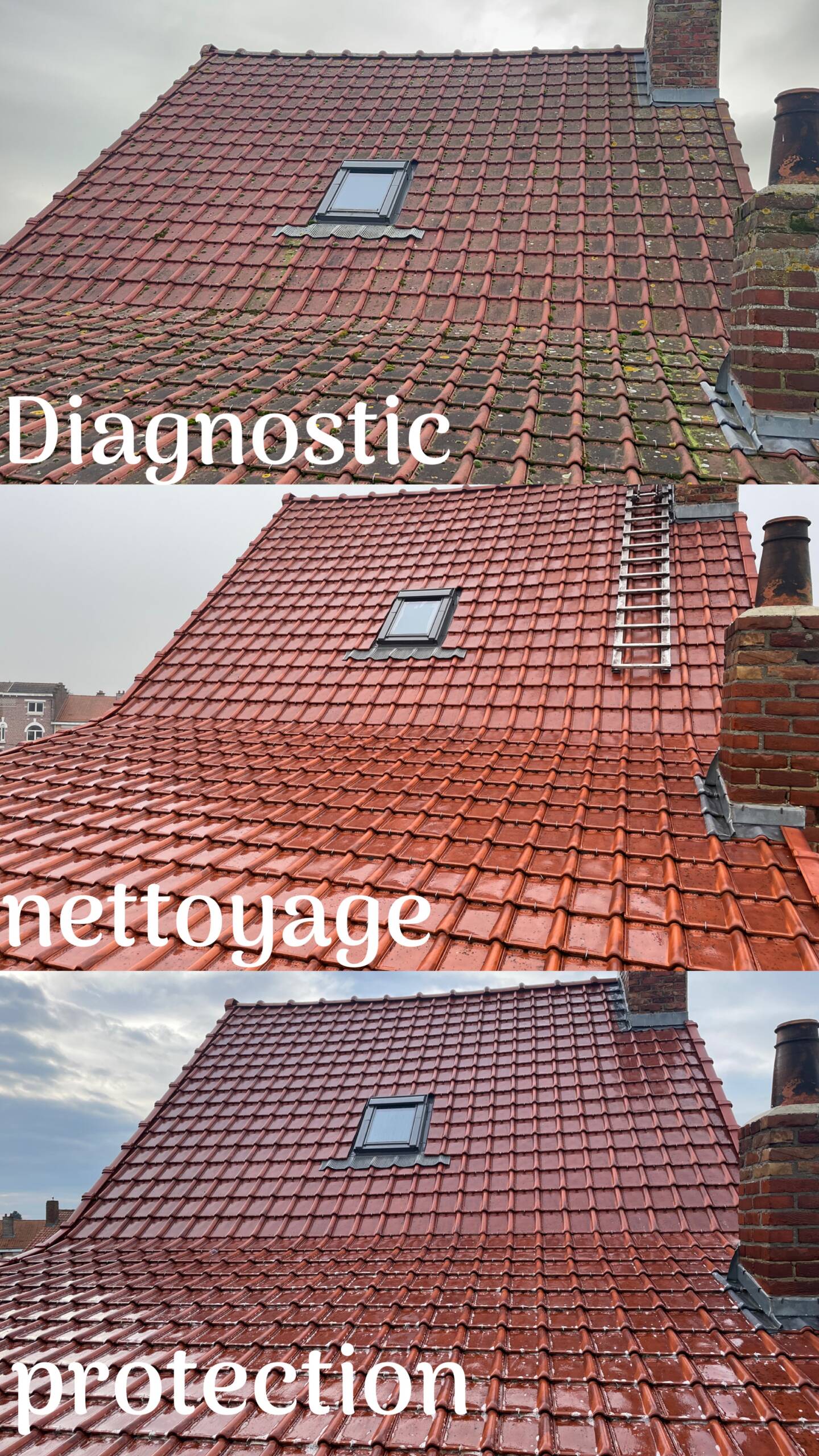 Diagnostic et nettoyage de toiture